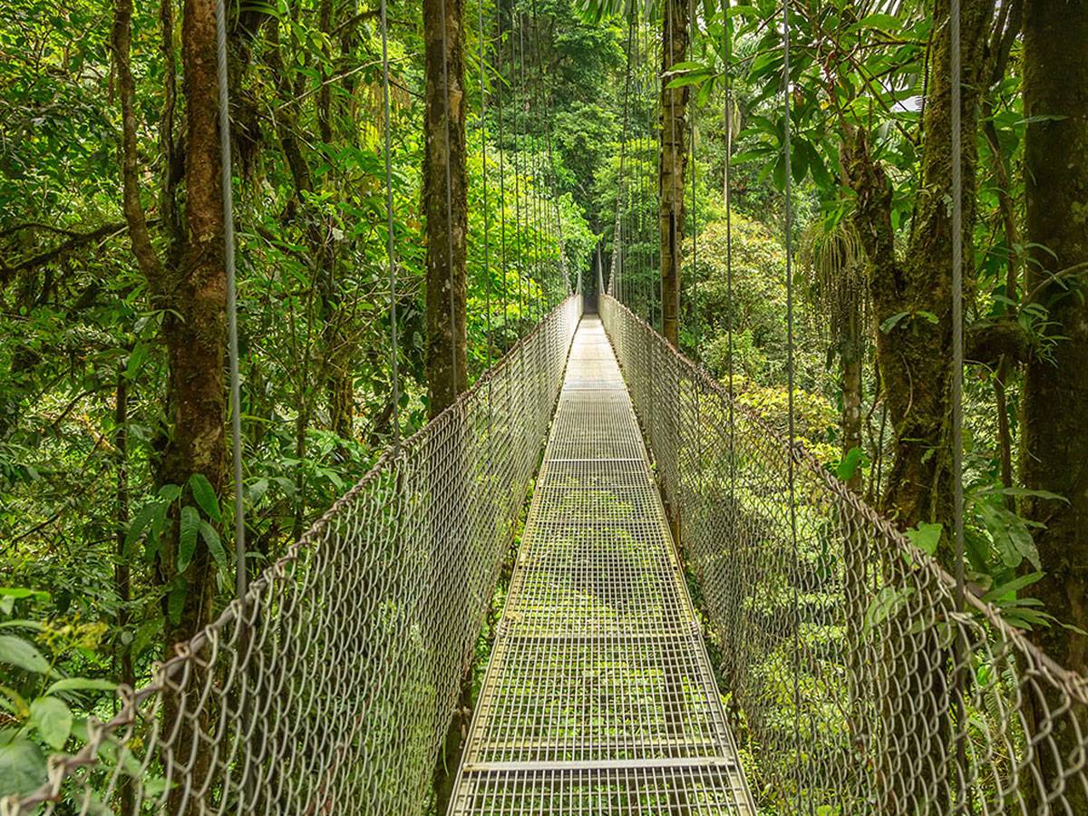 5 Ways to Turn-detail-01