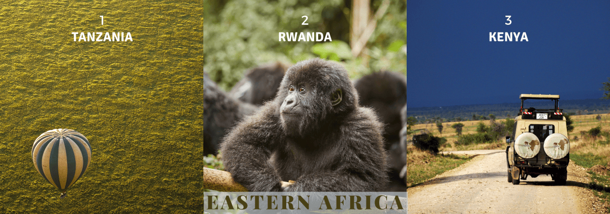 Safari in Eastern or Southern Africa-detail-01