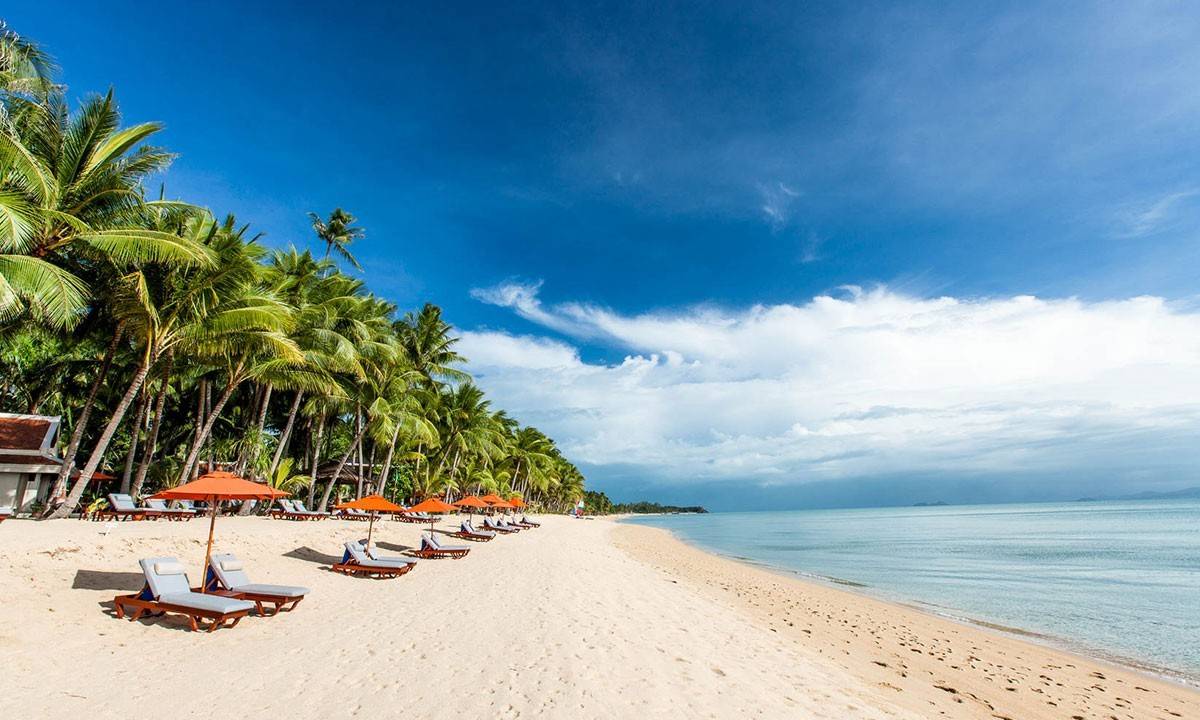 Best-Sunny-Escapes-detail-01