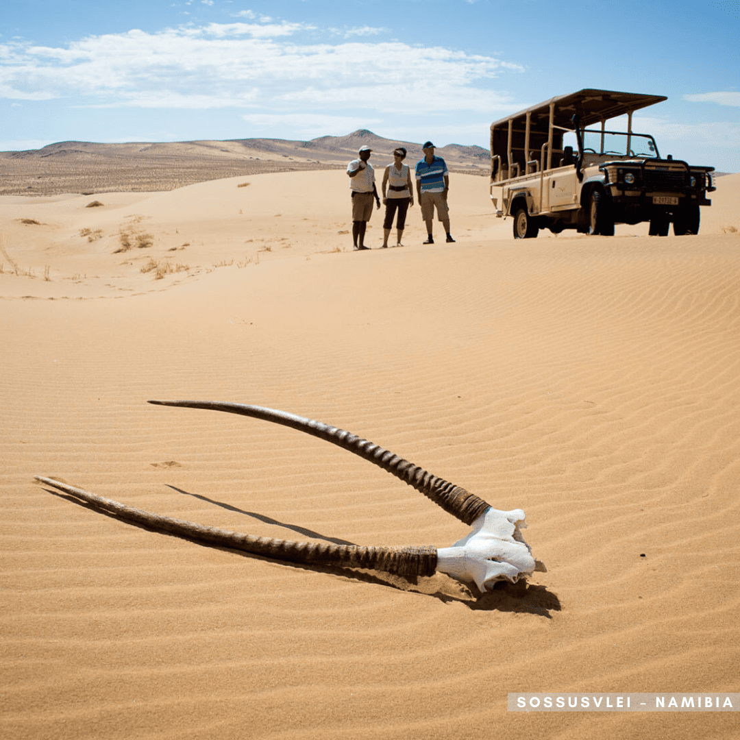 Top 10 Dreamy Destinations-detail-05