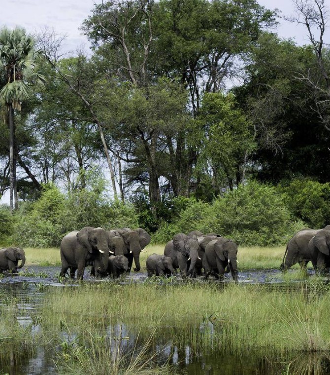 TOP 5 Luxury Safari Camps In Africa