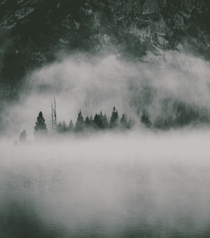 The Best Place for Gorilla Tracking