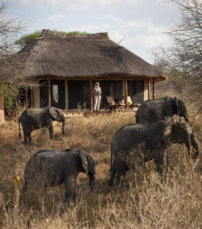 Calving Season - The Great Migration Best Kept Secret